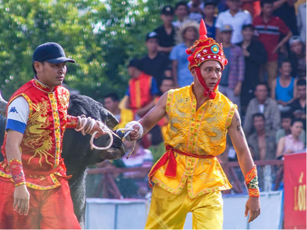 Tour Lễ hội chọi trâu Đồ Sơn